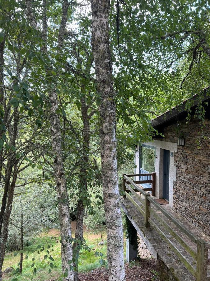 Aldea Couso Rural Ξενοδοχείο Sarreaus Εξωτερικό φωτογραφία
