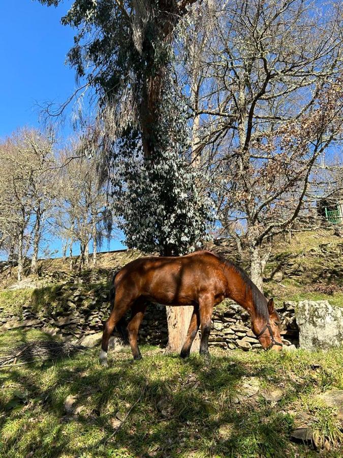 Aldea Couso Rural Ξενοδοχείο Sarreaus Εξωτερικό φωτογραφία